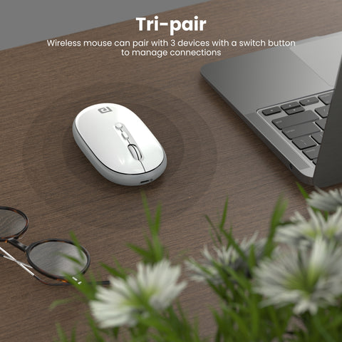 Portronics Toad II Wireless Mouse for Laptop & PC with Type C port| | buy wireless mouse online at best price