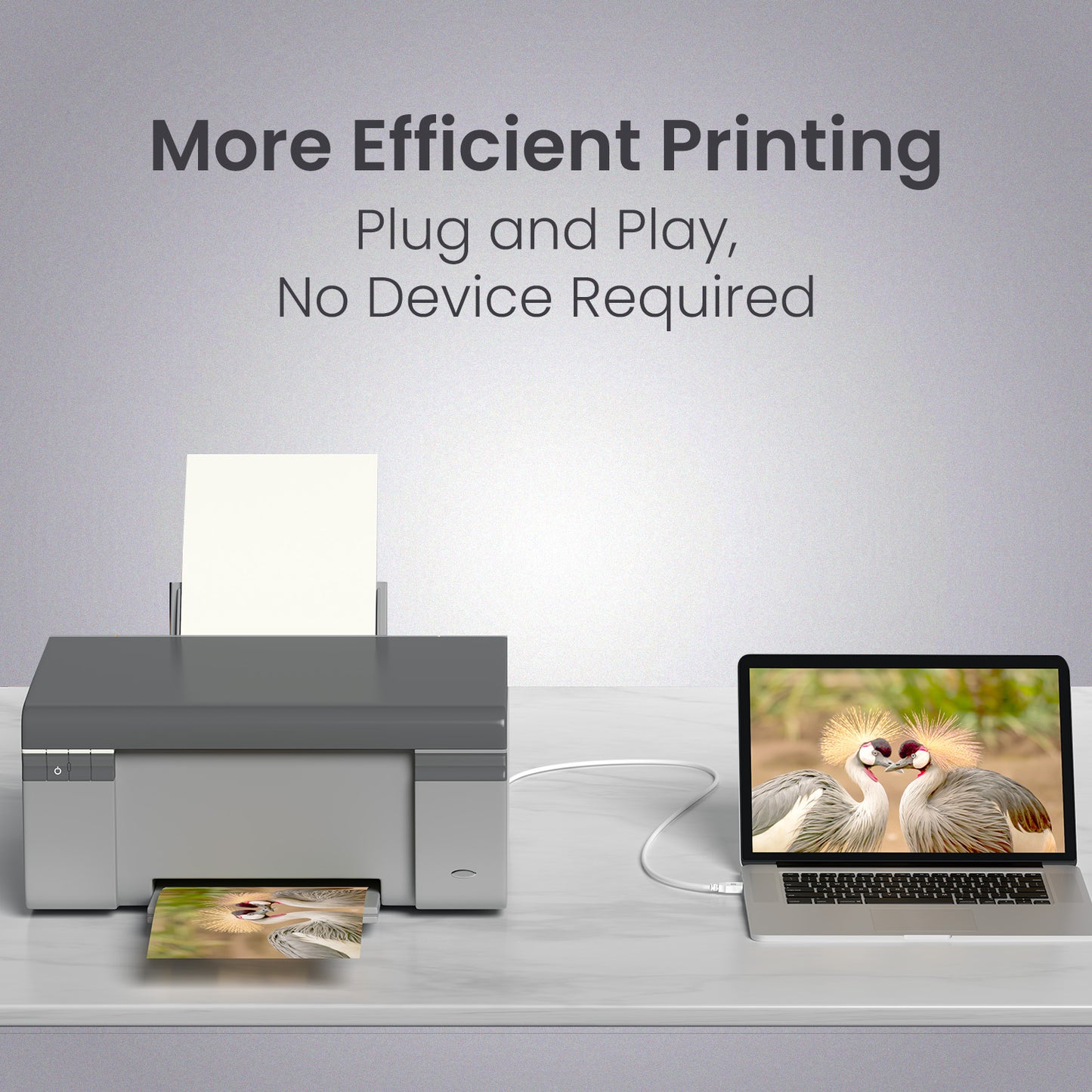 Printlink 3 - USB A To USB B For Printer 3M Cable